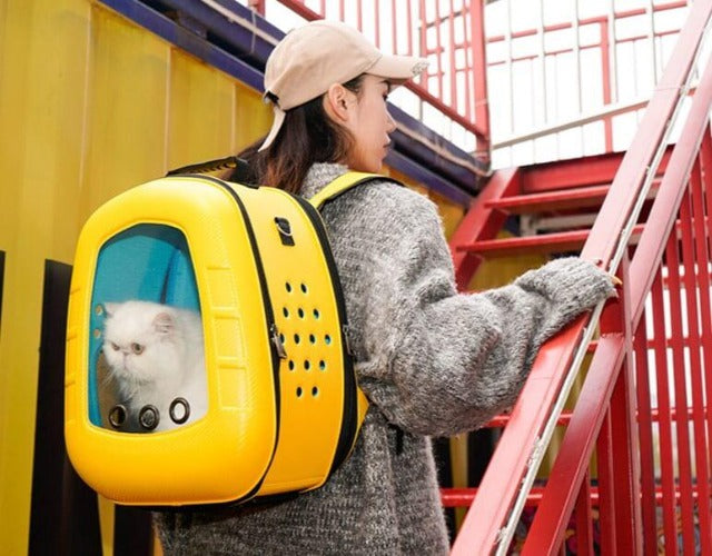 Big Capsule Cat Carrier Backpack Catiqo