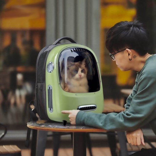 Air Ventilation Cat Travel Backpack