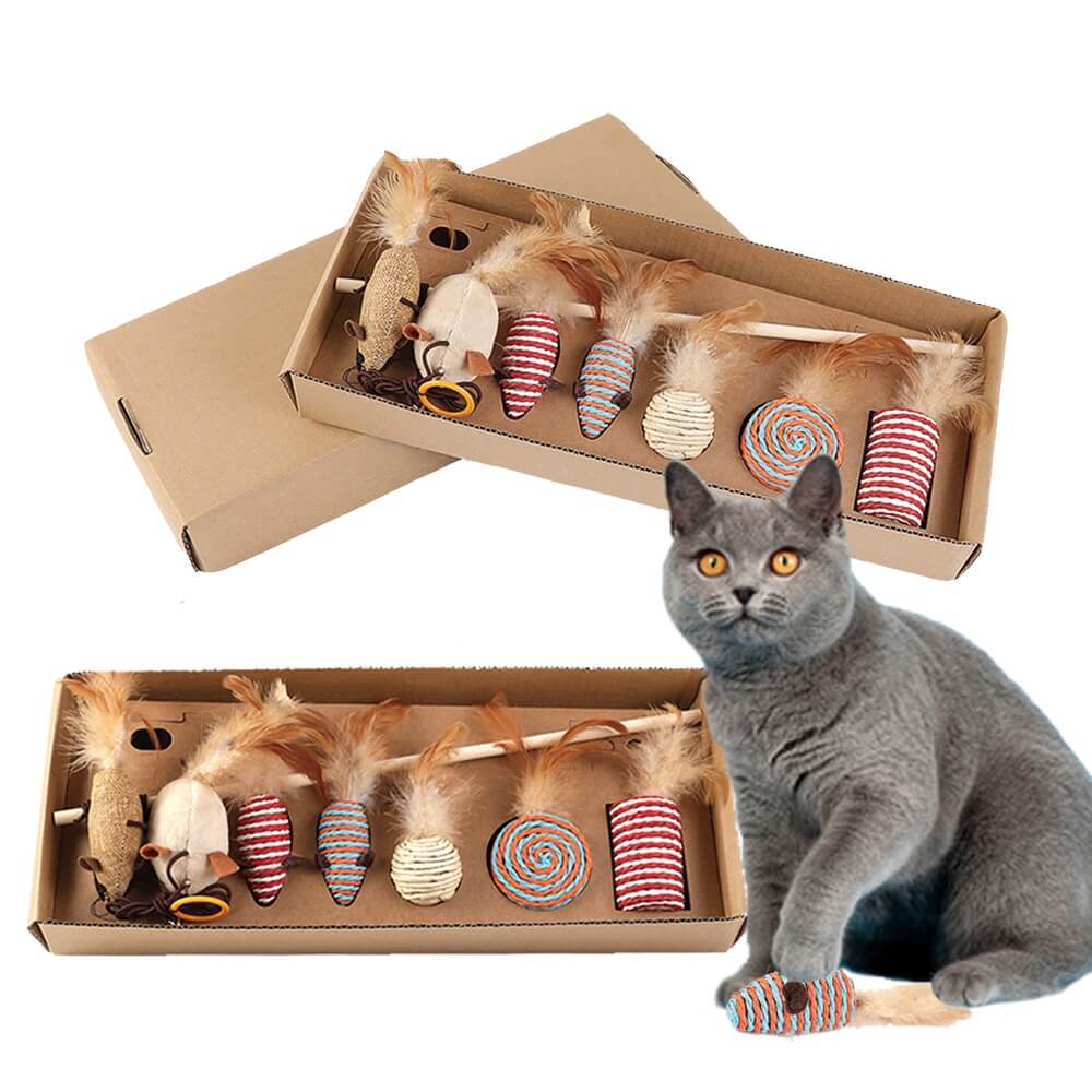 Cat Teaser Feather Toy Set