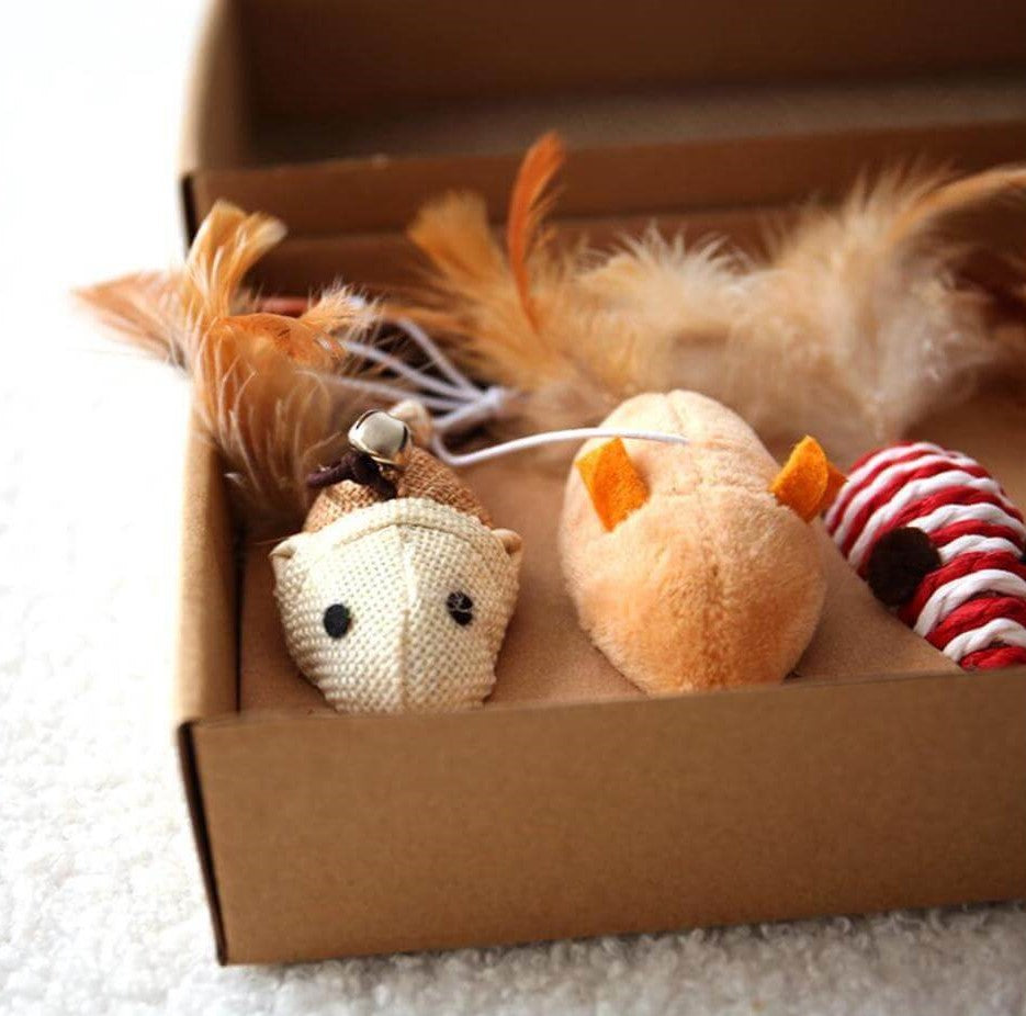 Cat Teaser Feather Toy Set