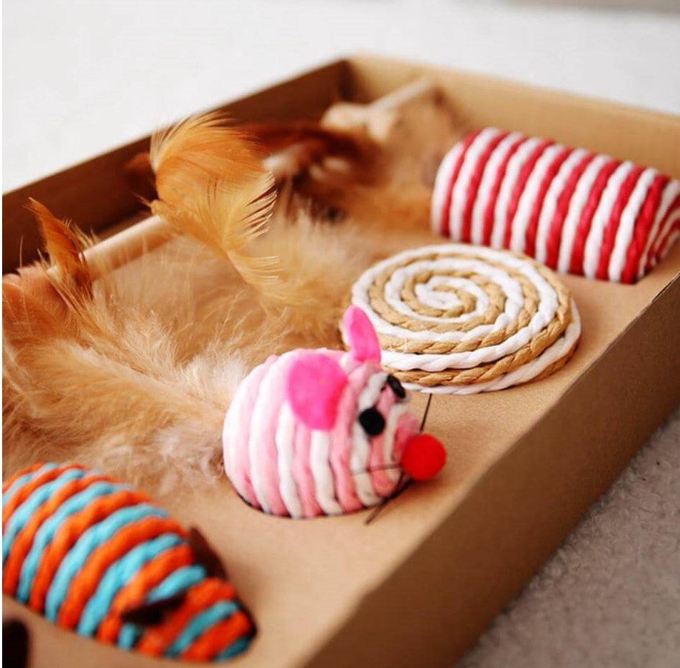Cat Teaser Feather Toy Set