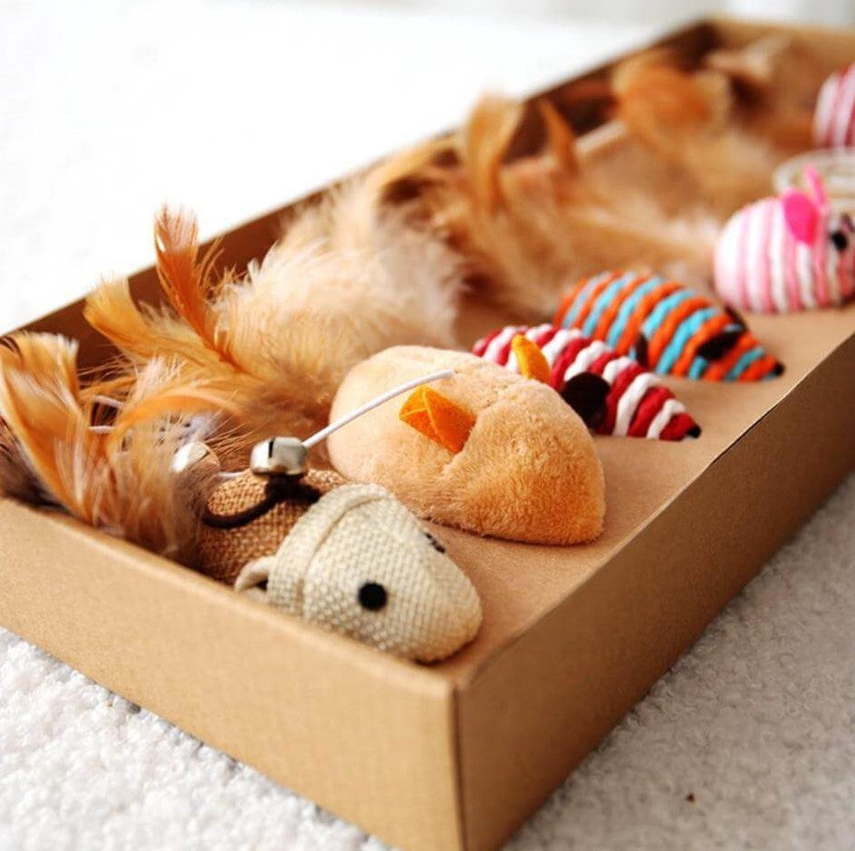 Cat Teaser Feather Toy Set