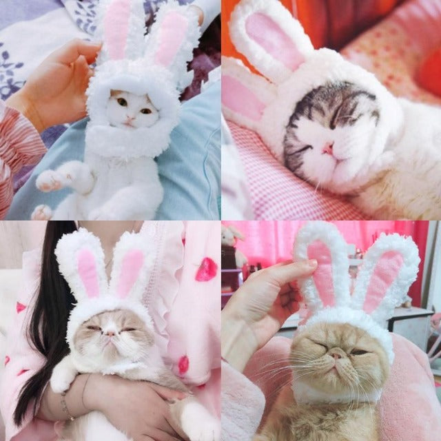Cute Bunny Cat Hat