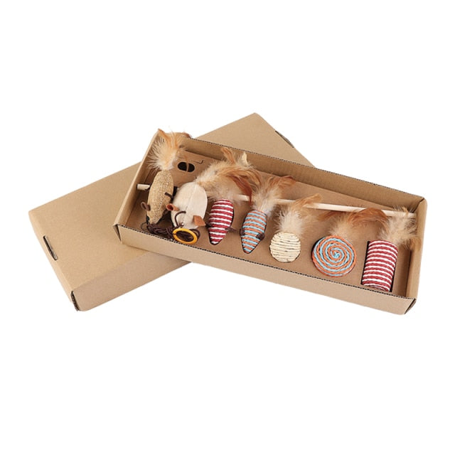 Cat Teaser Feather Toy Set