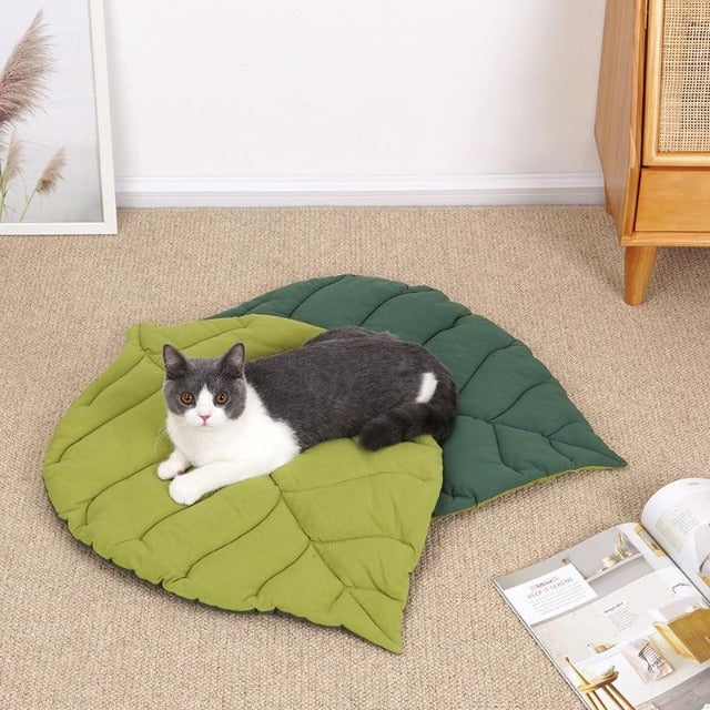 Ginkgo Leaf Sharp Cat Bed Mat