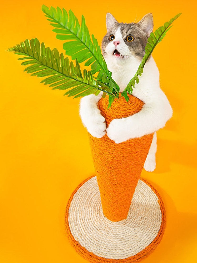Carrot Cat Scratching Post